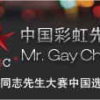 Mister Gay China